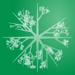 Snowflake illustration