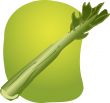 Celery illustration