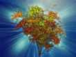 Tree with falling leaves, illustration