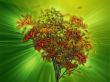 Tree with falling leaves, illustration