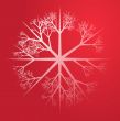 Snowflake illustration