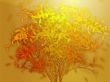 Tree with falling leaves, illustration