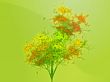 Autumn leafy tree
