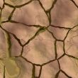 Parched earth