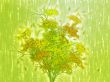Tree with falling leaves, illustration