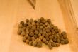 Allspice