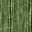 Bamboo plants