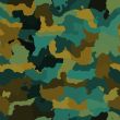 Camouflage pattern texture
