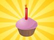 Birthday cupcake with candle