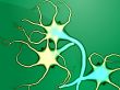 Nerve cells illustration