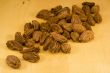 Black cardamom