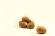 Nutmeg