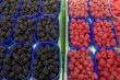 Blackberry and raspberry