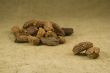 Black cardamom