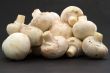 Mushrooms