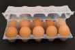 Ten eggs in packing