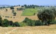 Marche - Landscape