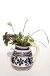 Fresh herbs in vase