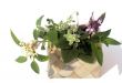 Fresh herbs in basket