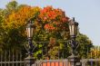 Fencing of autumn park
