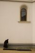 Nun cleaning a wall