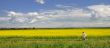 Bike and Yellow Meadow Flowers