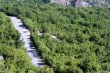 A road in the mountains with the growing trees on it