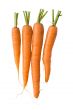 Fresh carrots on white