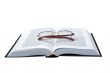 glasses on the opened book