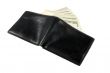 Wallet with dollars