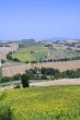 Marche - Landscape