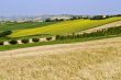 Marche, landscape at summer