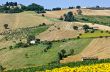 Marche - Landscape at summer