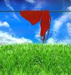 a wet swimming suit dries on a background blue sky