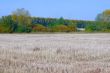 Autumn landscape