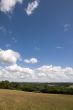 Farmland