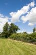 summer field