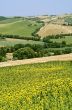 Macerata - Landscape