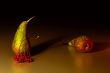 Two pears and the ashberry twig