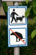 Dogs