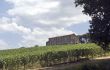 Farm with vineyard in Italy