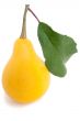 Pear and leaves