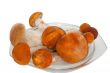mushrooms
