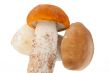 mushrooms