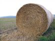 Roll of straw in field