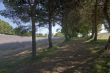 Conero (Marche, Italy) - Lavender and pines