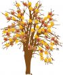 Autumnal tree
