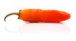 Red pepper