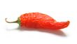 Red pepper 2