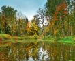 Autumn park with the pond
